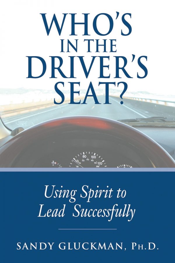 Who's in the Driver's Seat Book Cover