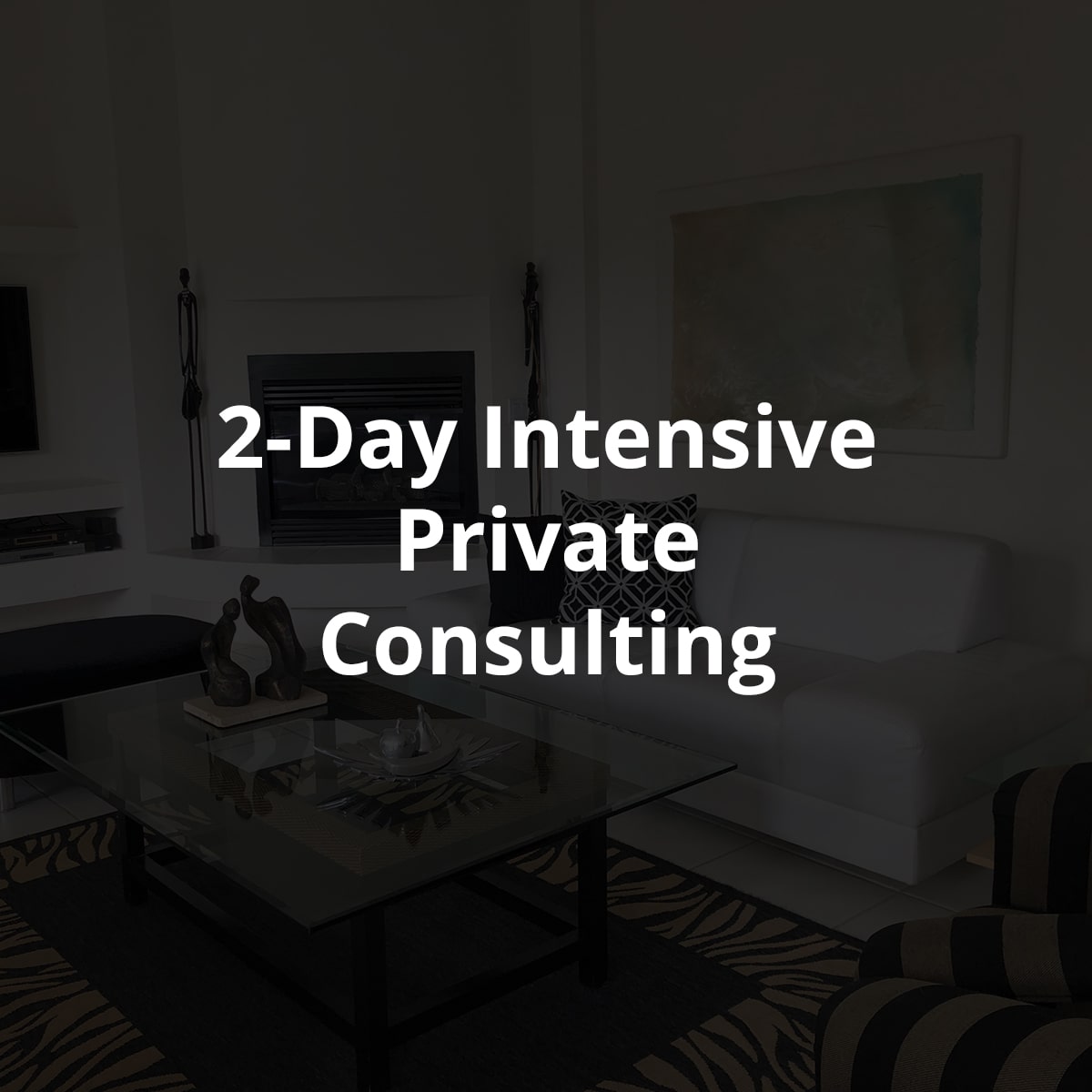 2-Day Intensive Private Consulting