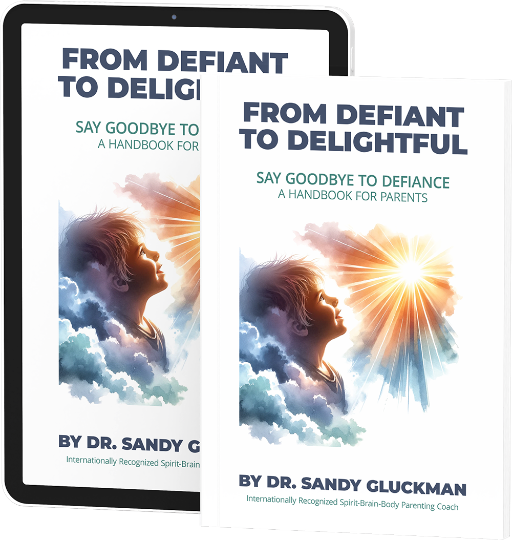 From Defiant to Delightful book
